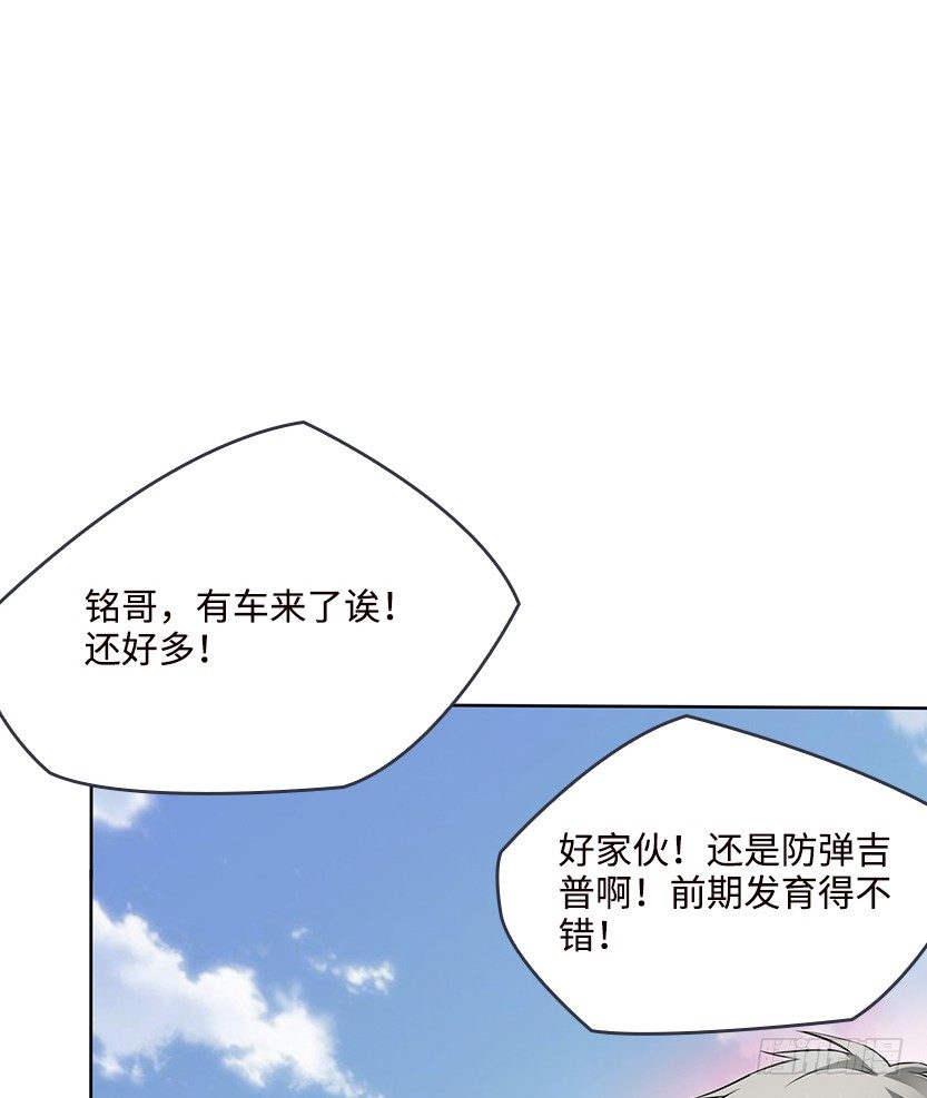 母猪能上树57