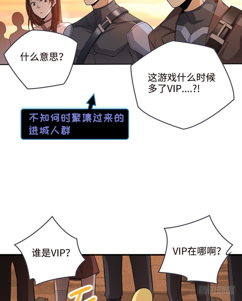VIP专属服务？11