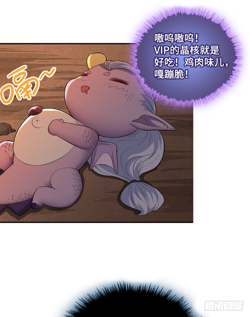 VIP专属服务？13