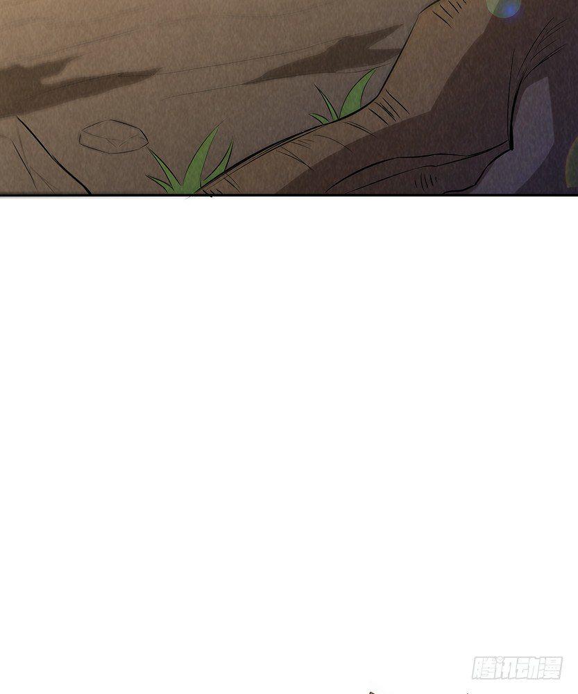 母猪能上树27