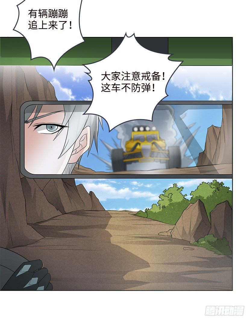 母猪能上树3