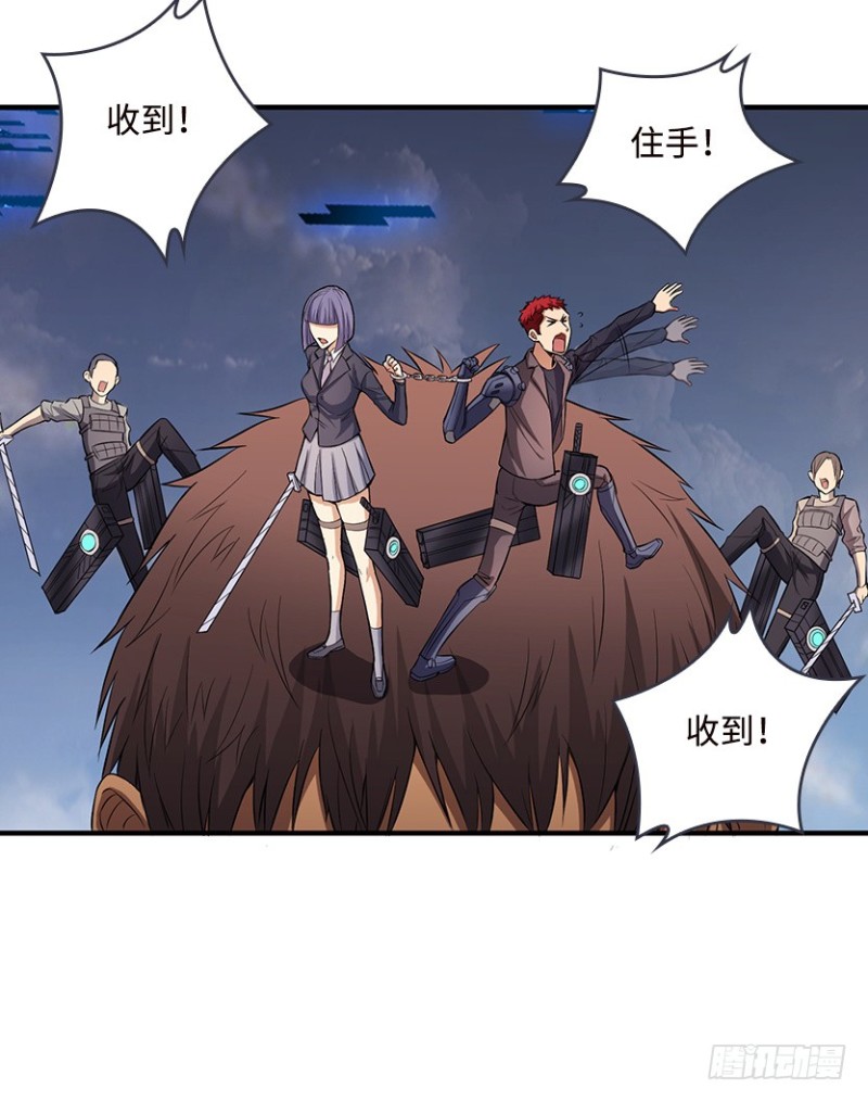 真叶小绍上线2