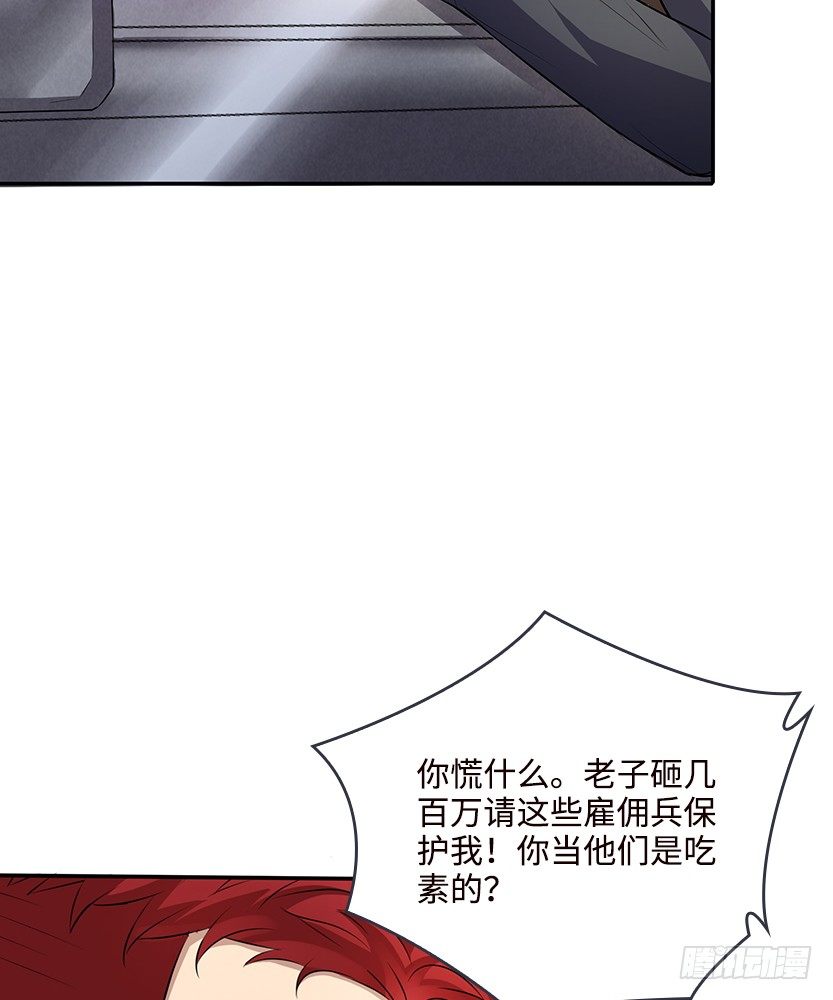 母猪能上树60
