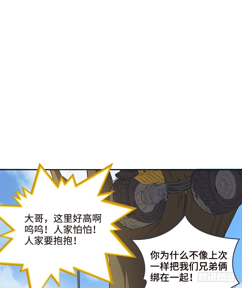 母猪能上树31