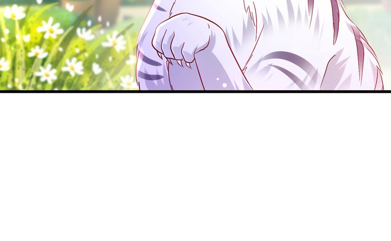 和我一起养大猫吧？26