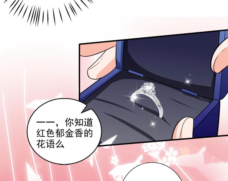 嫁给我！34
