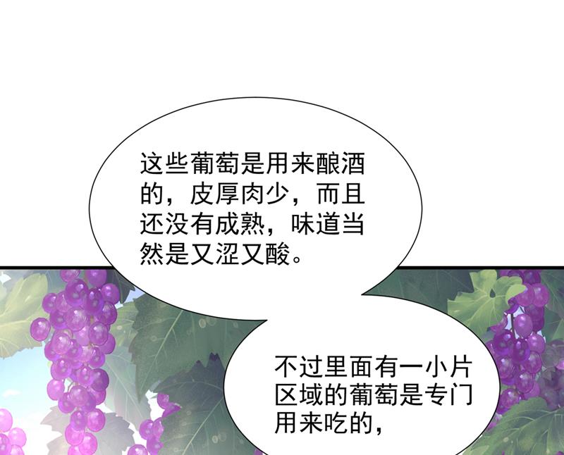 这是你的秘密基地？68