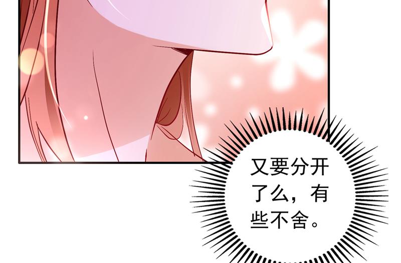 这是……大猫？！14