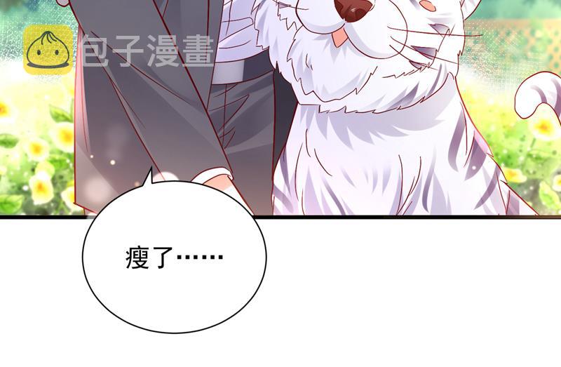 和我一起养大猫吧？29