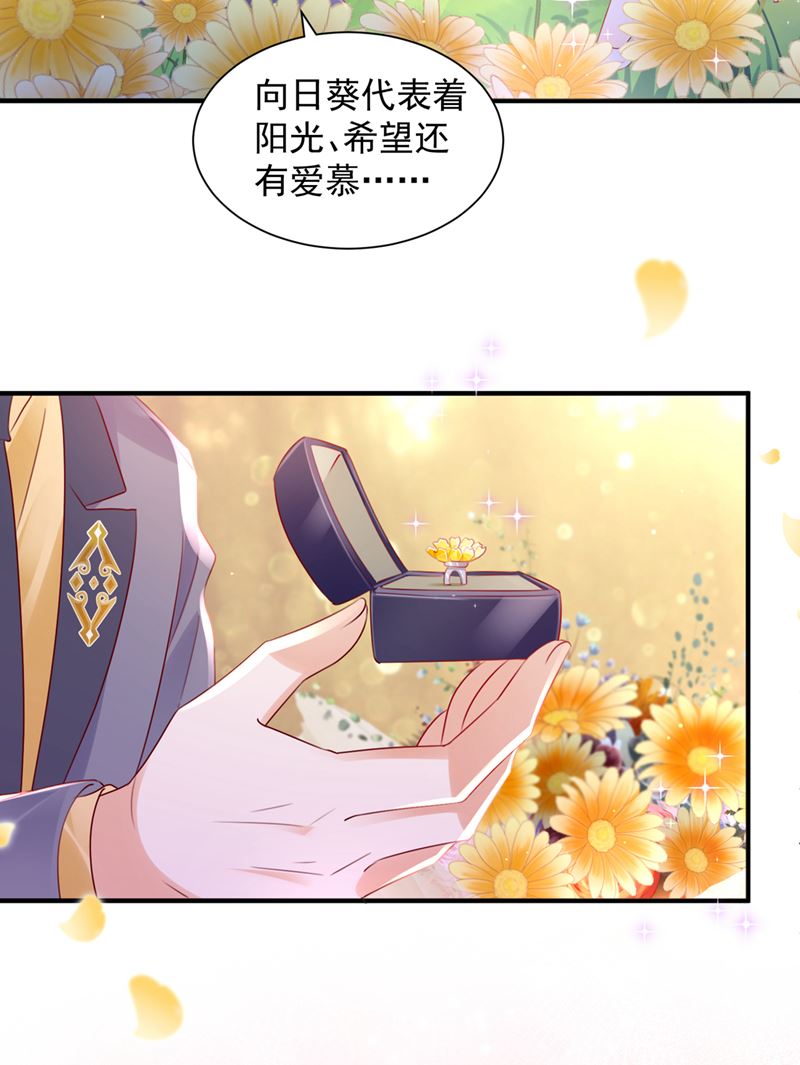 笙笙，嫁给我吧53