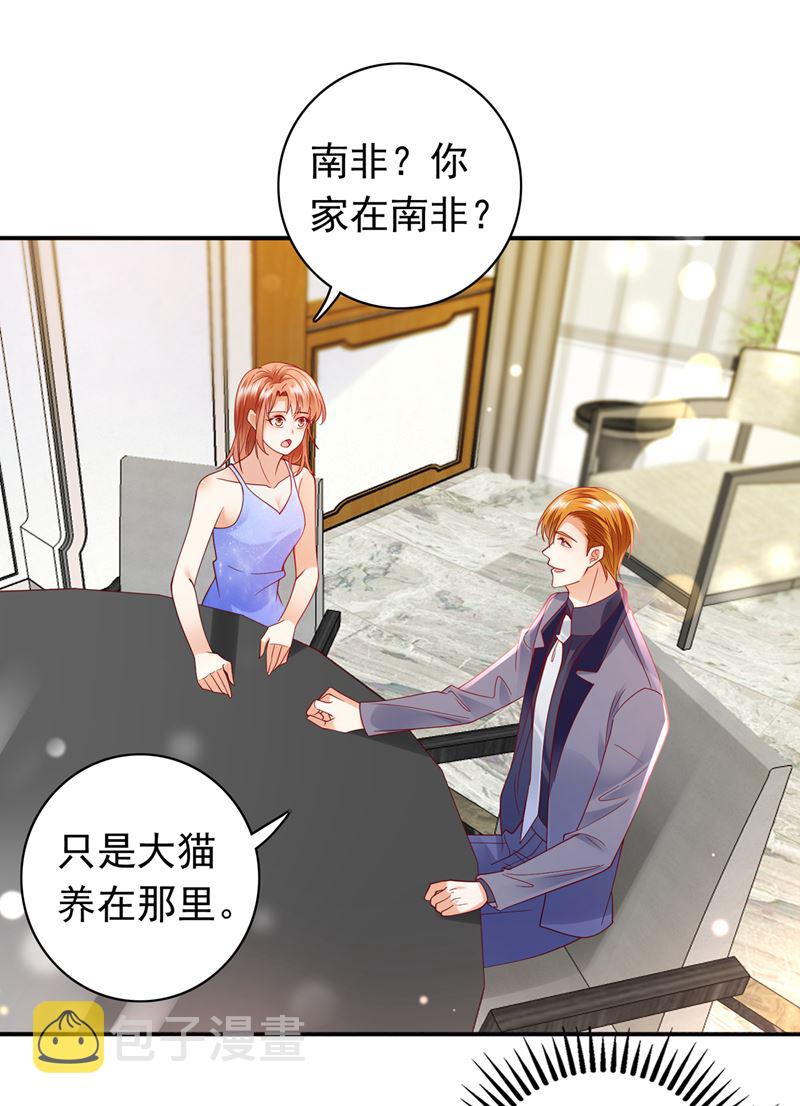 这是……大猫？！24