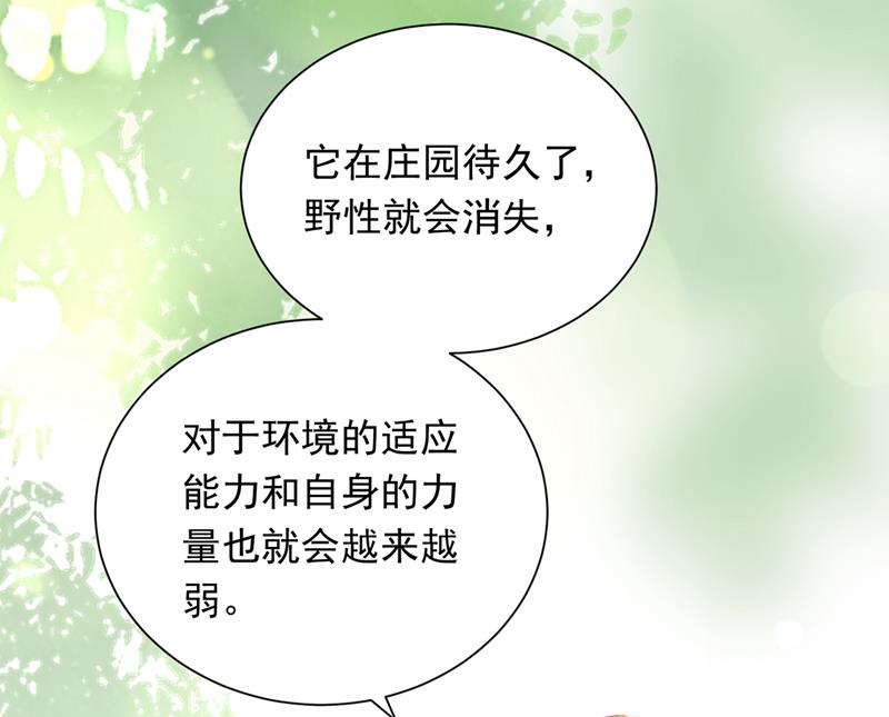 我会一直陪着你42