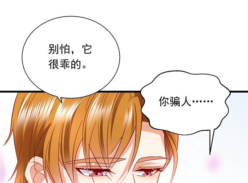 和我一起养大猫吧？21
