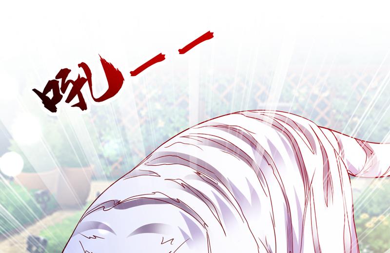 这是……大猫？！46