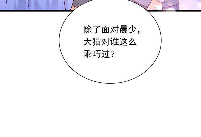 和我一起养大猫吧？41
