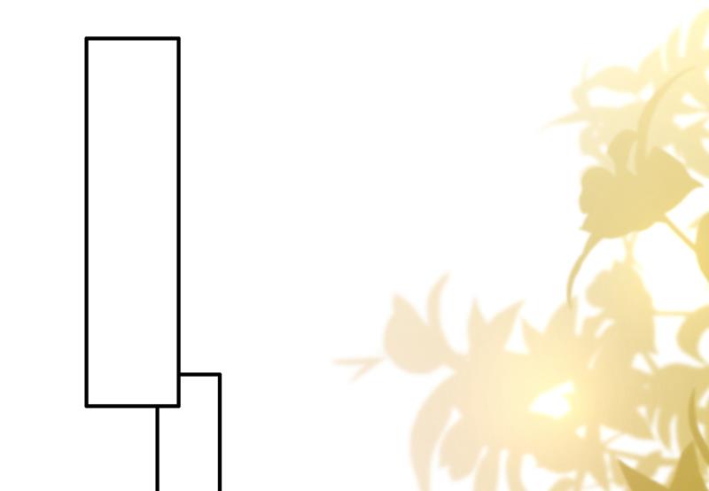 这是……大猫？！27