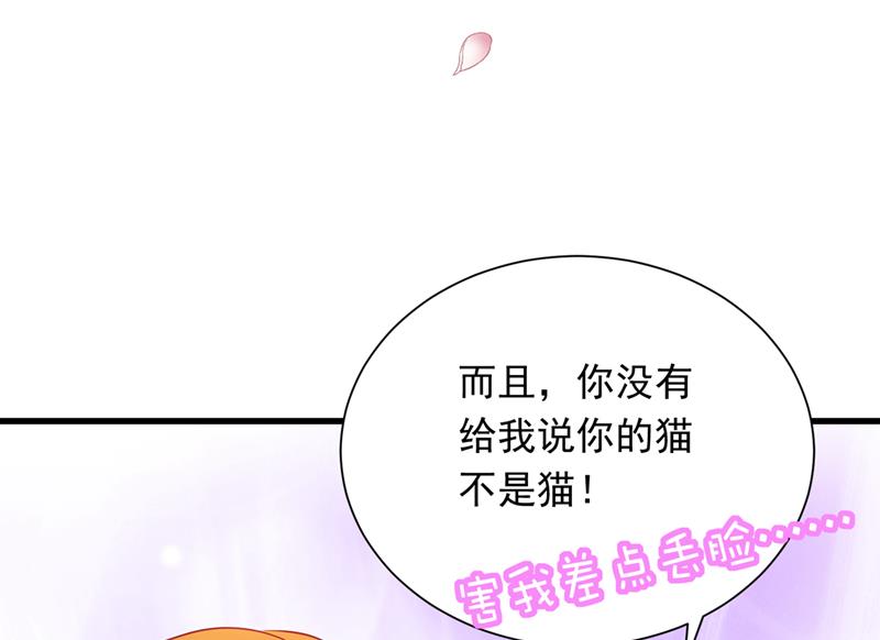 和我一起养大猫吧？48