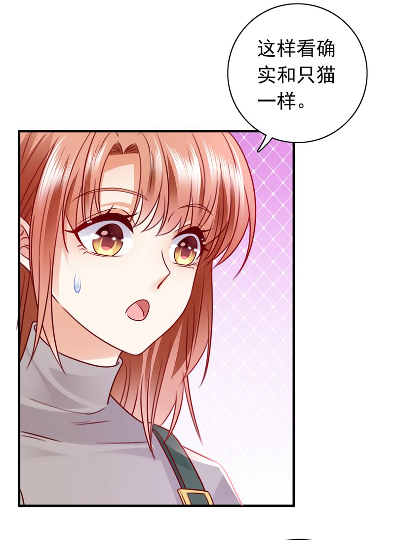 和我一起养大猫吧？4