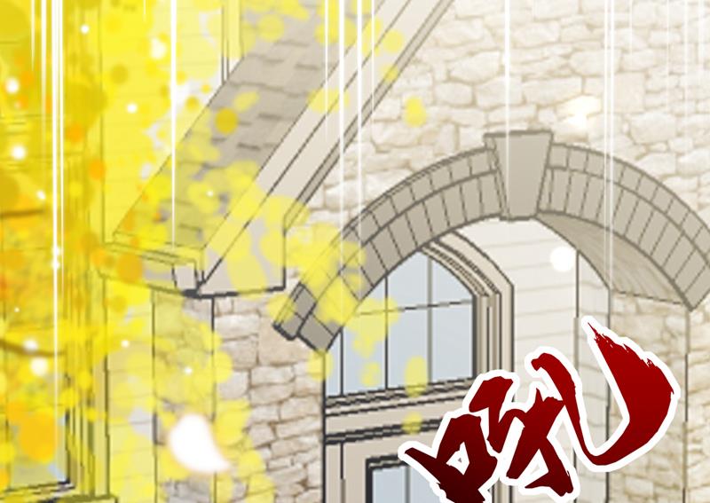 这是……大猫？！39