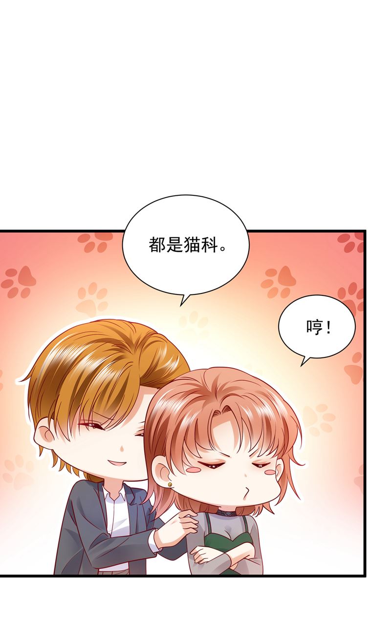和我一起养大猫吧？51