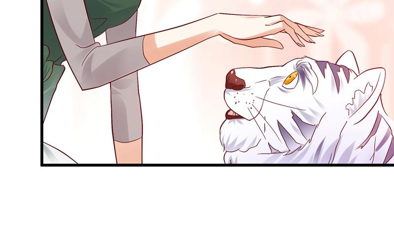 和我一起养大猫吧？35