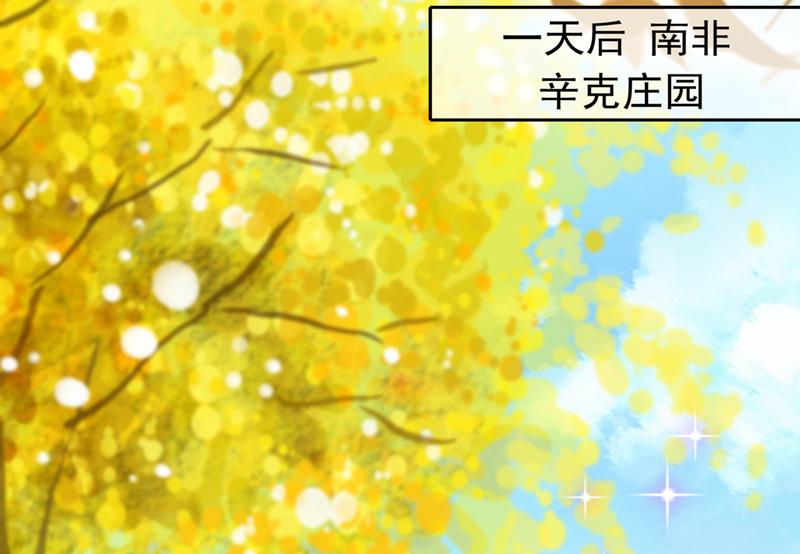 这是……大猫？！29