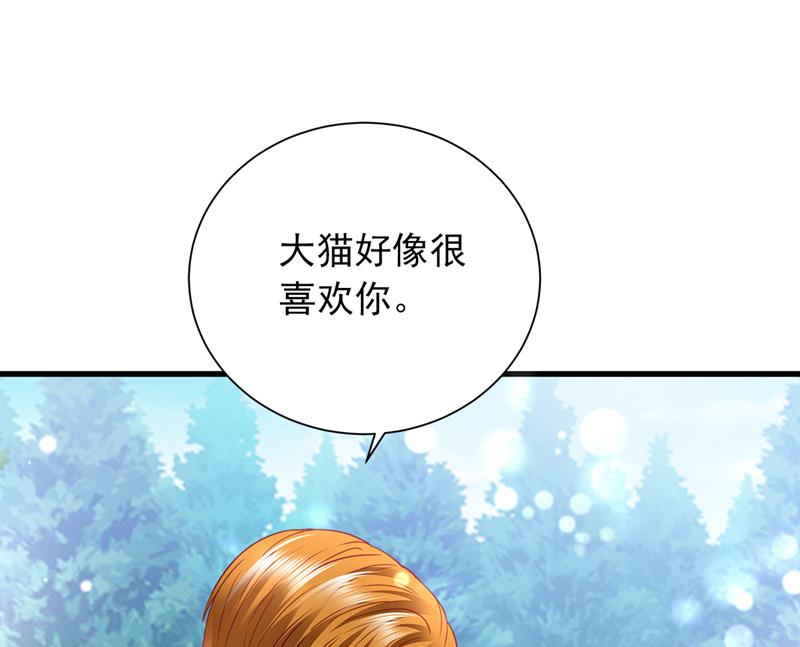 和我一起养大猫吧？60