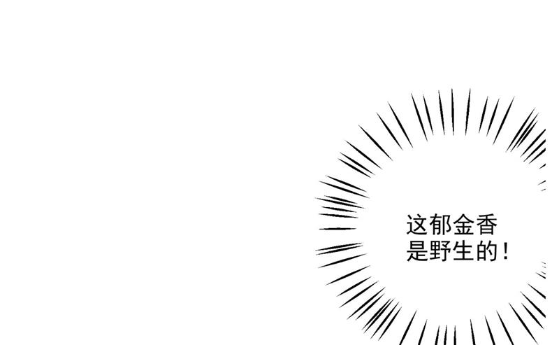 嫁给我！31