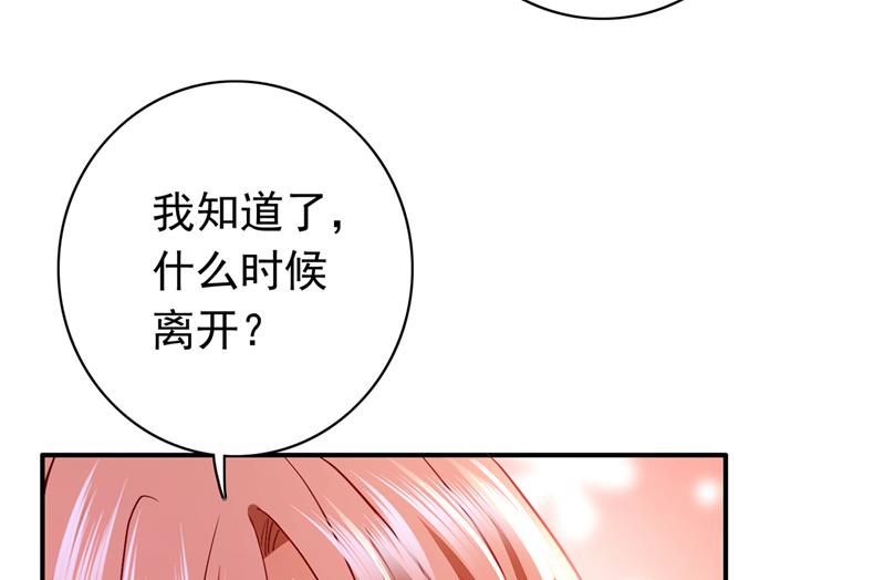 这是……大猫？！12