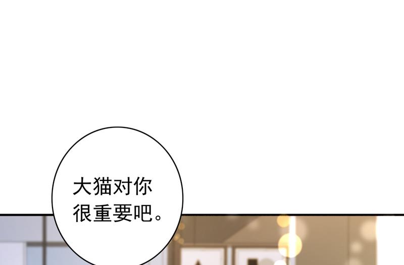 这是……大猫？！9