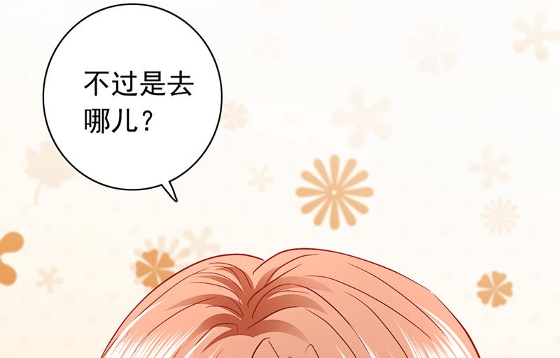 这是……大猫？！18