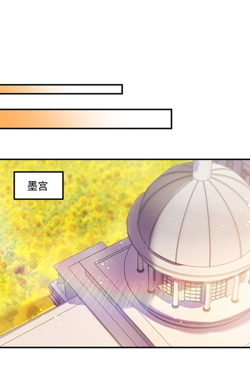 石头，一起回洛城好吗？22