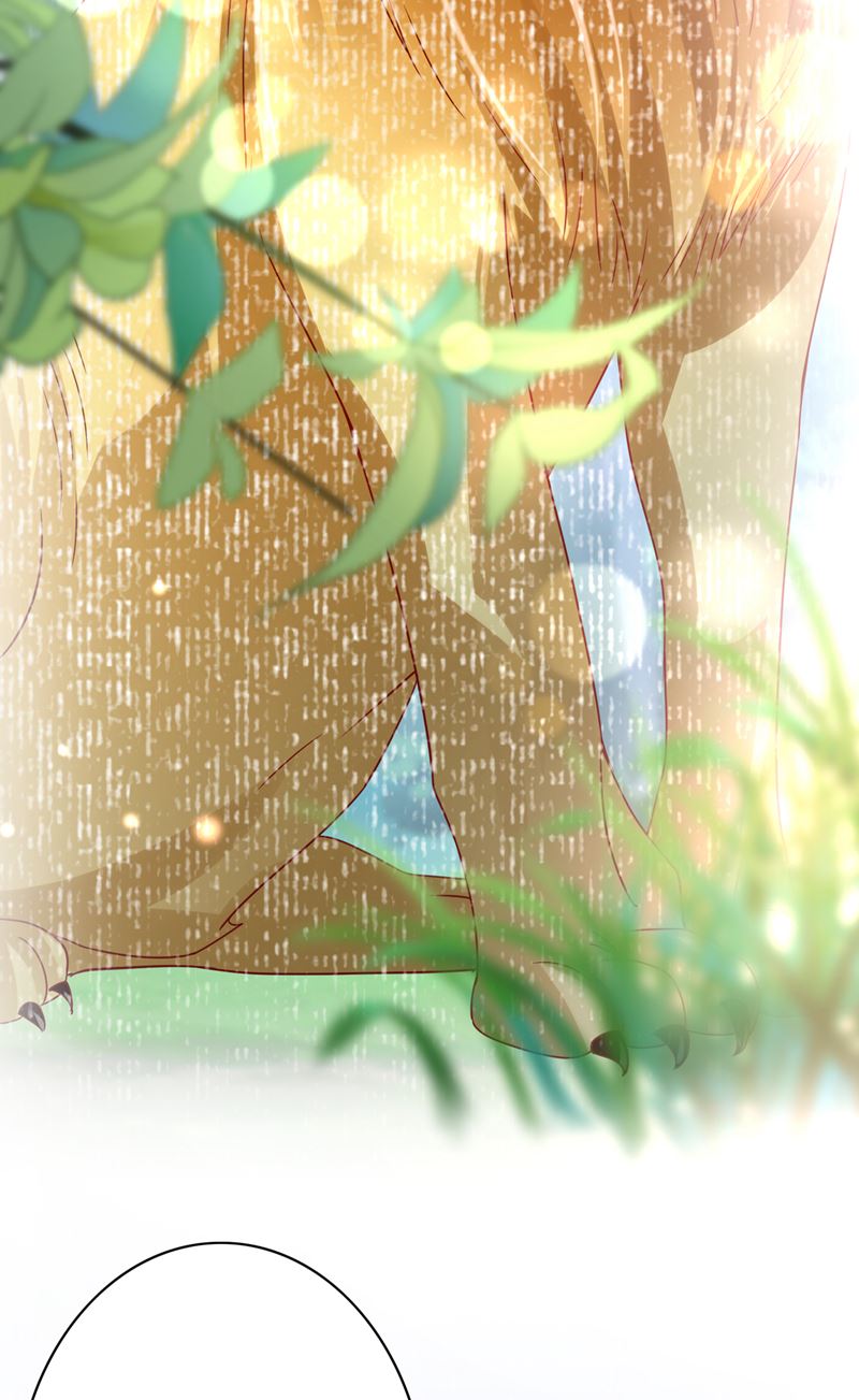 改变规矩！42