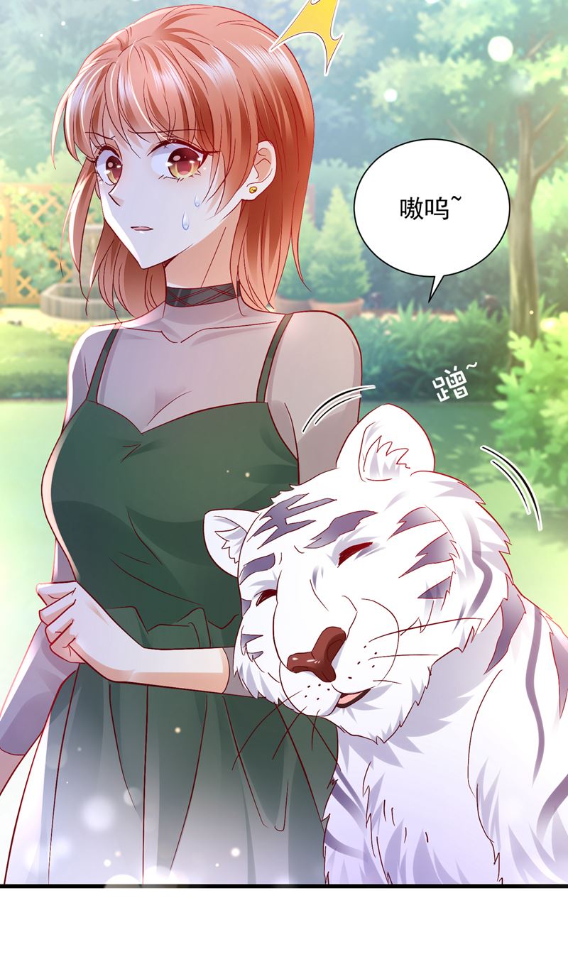 和我一起养大猫吧？17