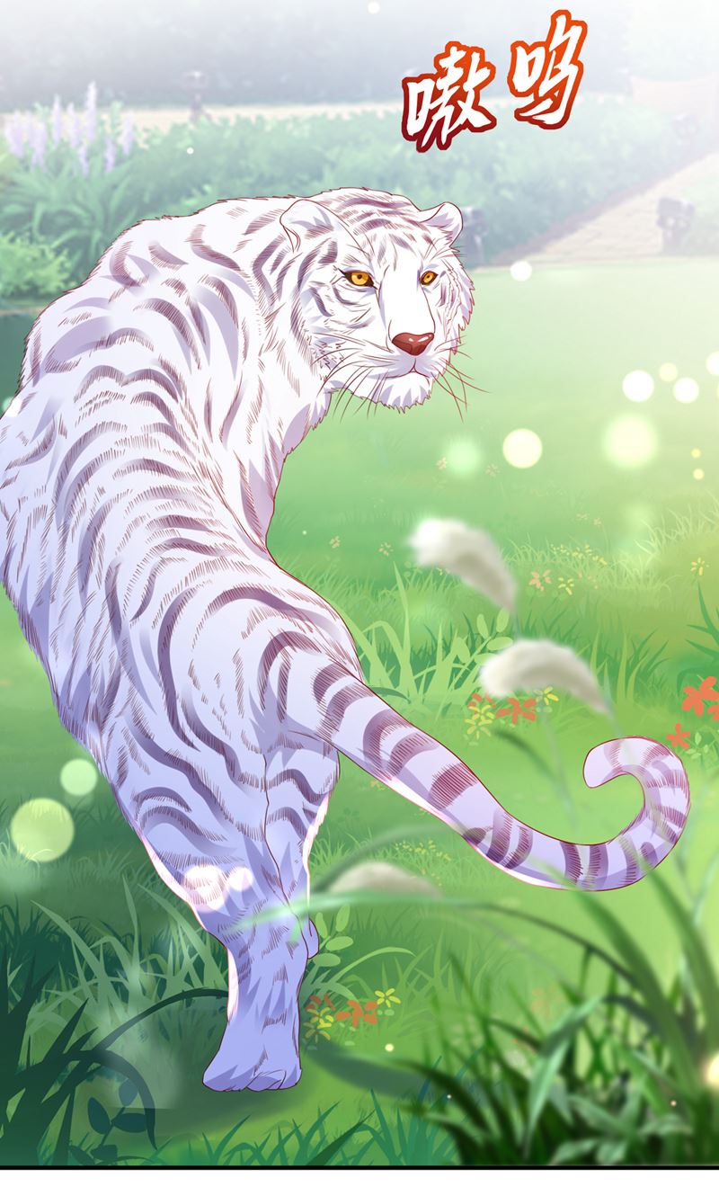 这是……大猫？！56