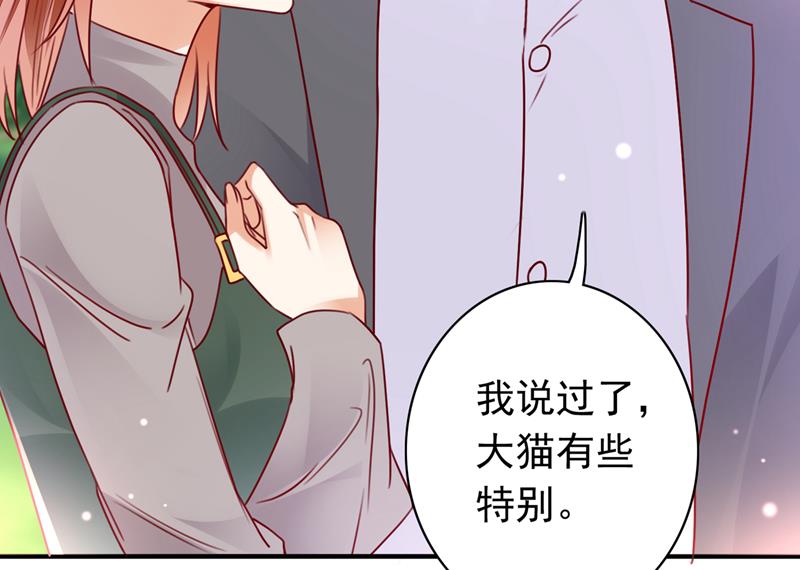 这是……大猫？！59