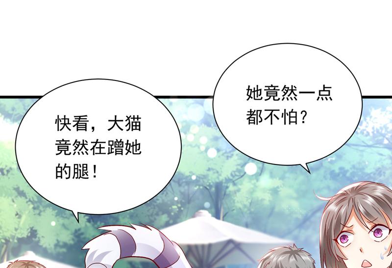 和我一起养大猫吧？39