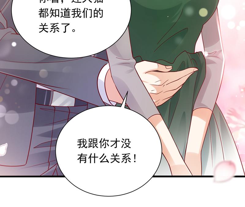 和我一起养大猫吧？47