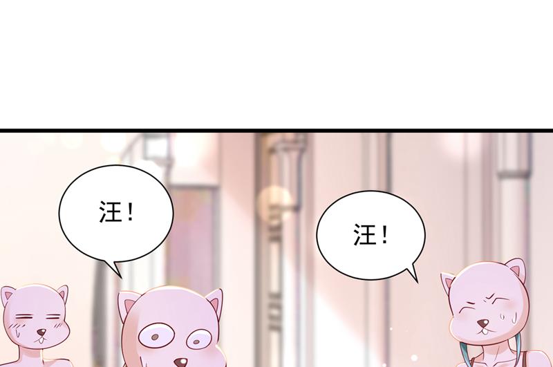 唐笙是我的底线3