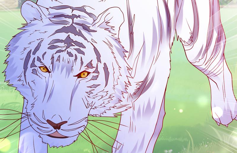 这是……大猫？！47
