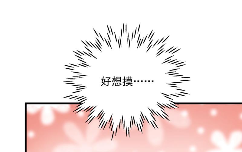 和我一起养大猫吧？33