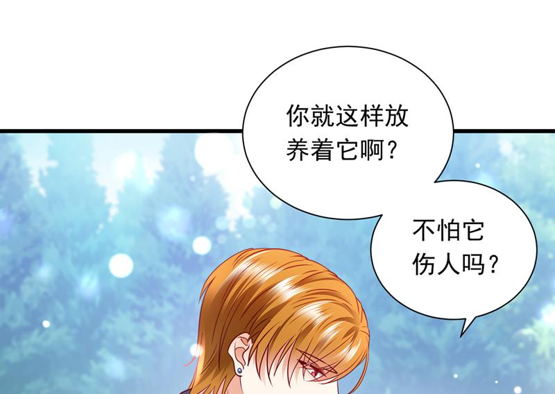 和我一起养大猫吧？52