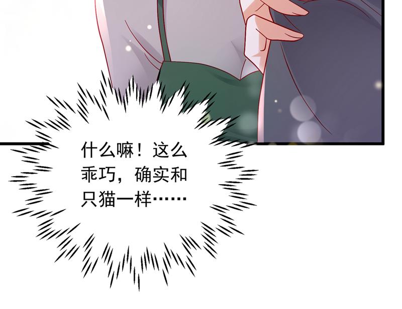 和我一起养大猫吧？32