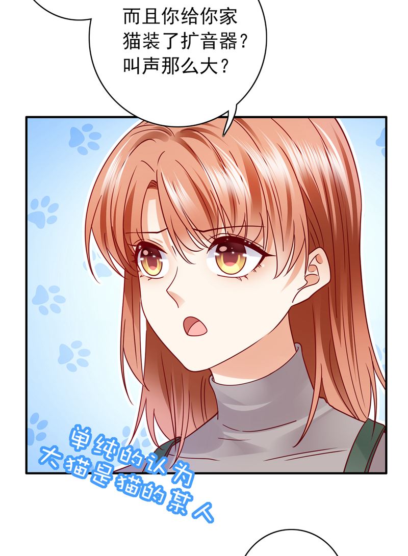 这是……大猫？！43