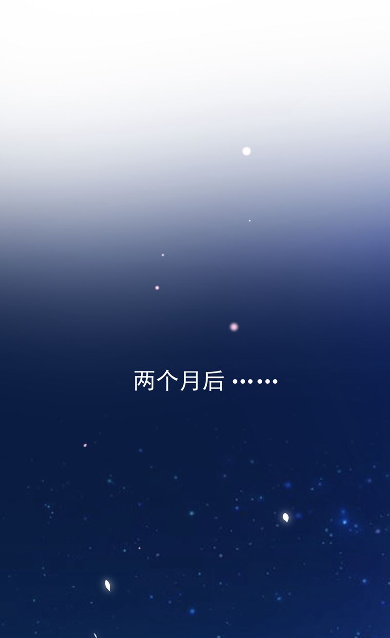 改变规矩！81