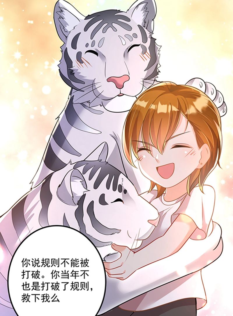 石头，一起回洛城好吗？49