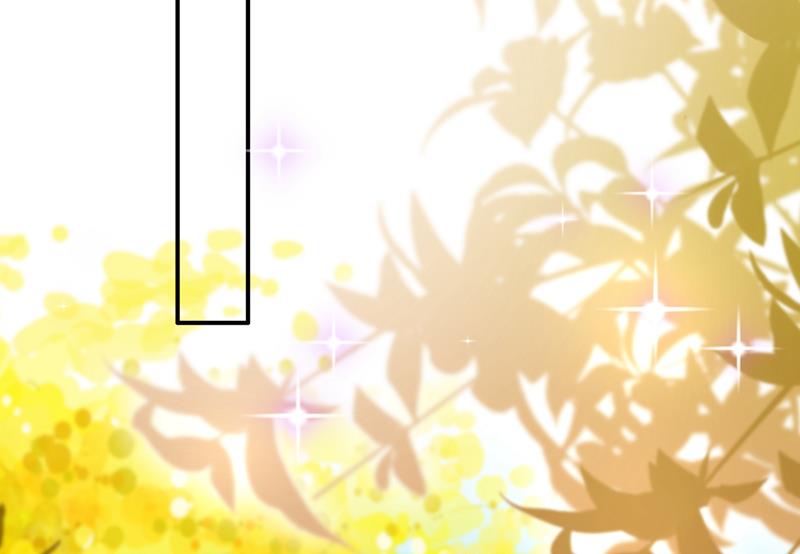 这是……大猫？！28