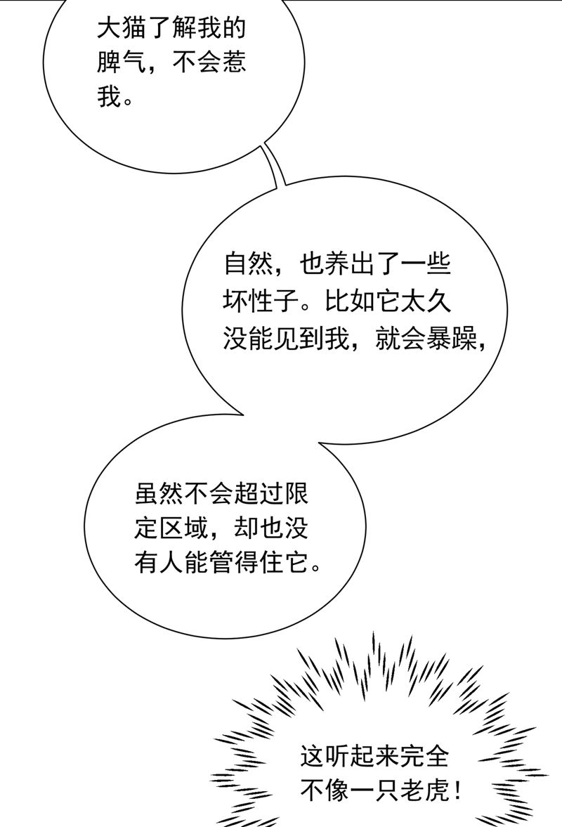 和我一起养大猫吧？58