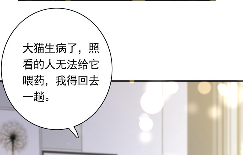 这是……大猫？！5
