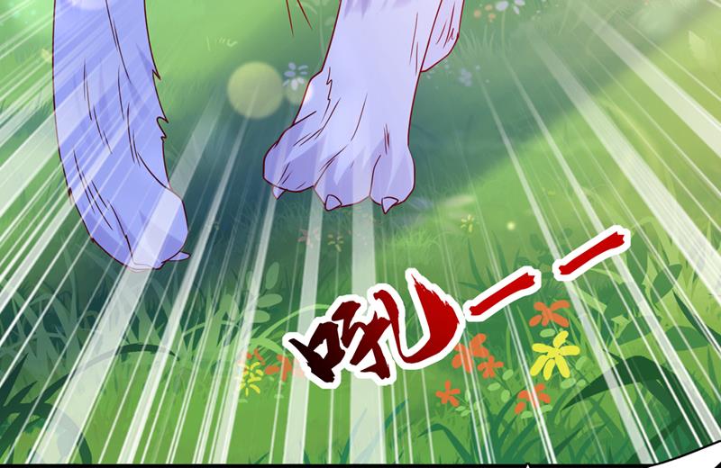 这是……大猫？！48